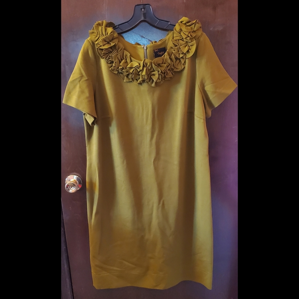 Taylor Woman knit dress